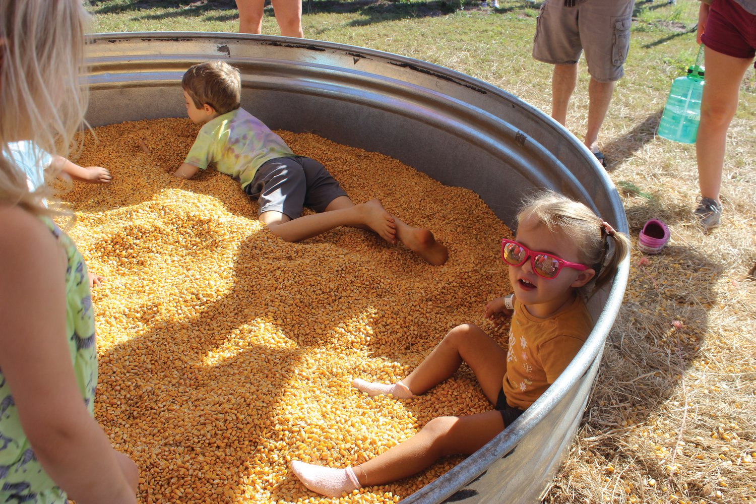 Children play in a corn pool.